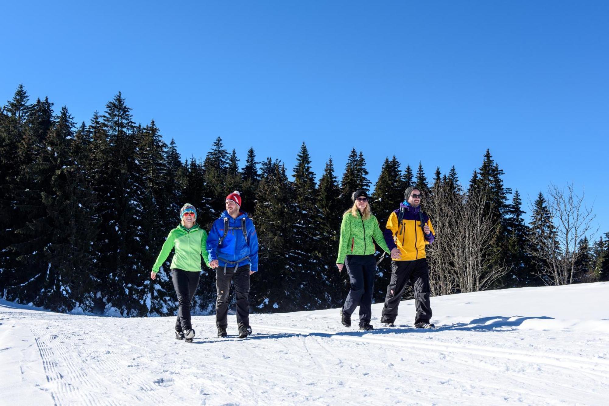 Гостевой дом Hoehengasthaus Kolmenhof An Der Donauquelle 3*
