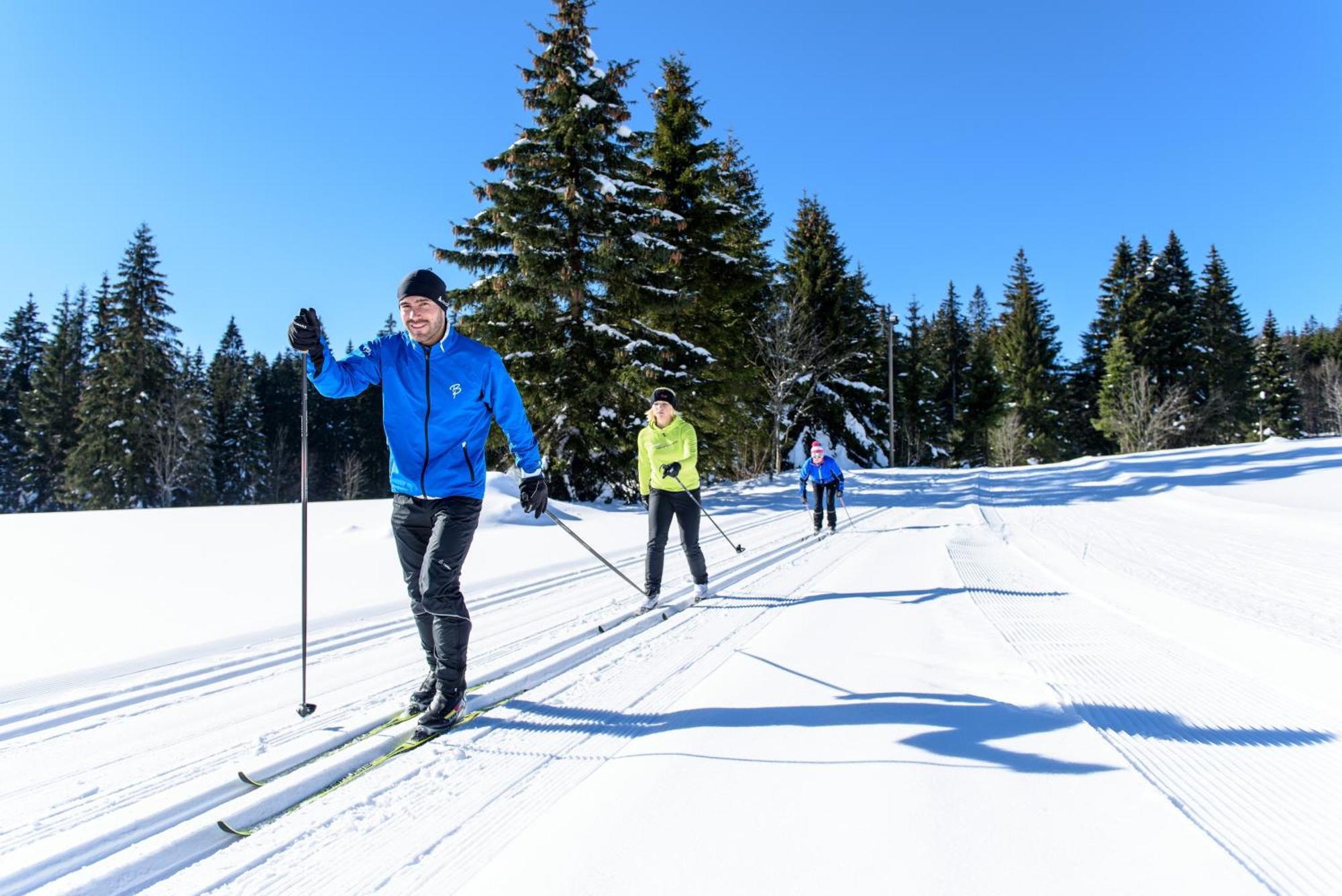 Hoehengasthaus Kolmenhof An Der Donauquelle Affittacamere Furtwangen