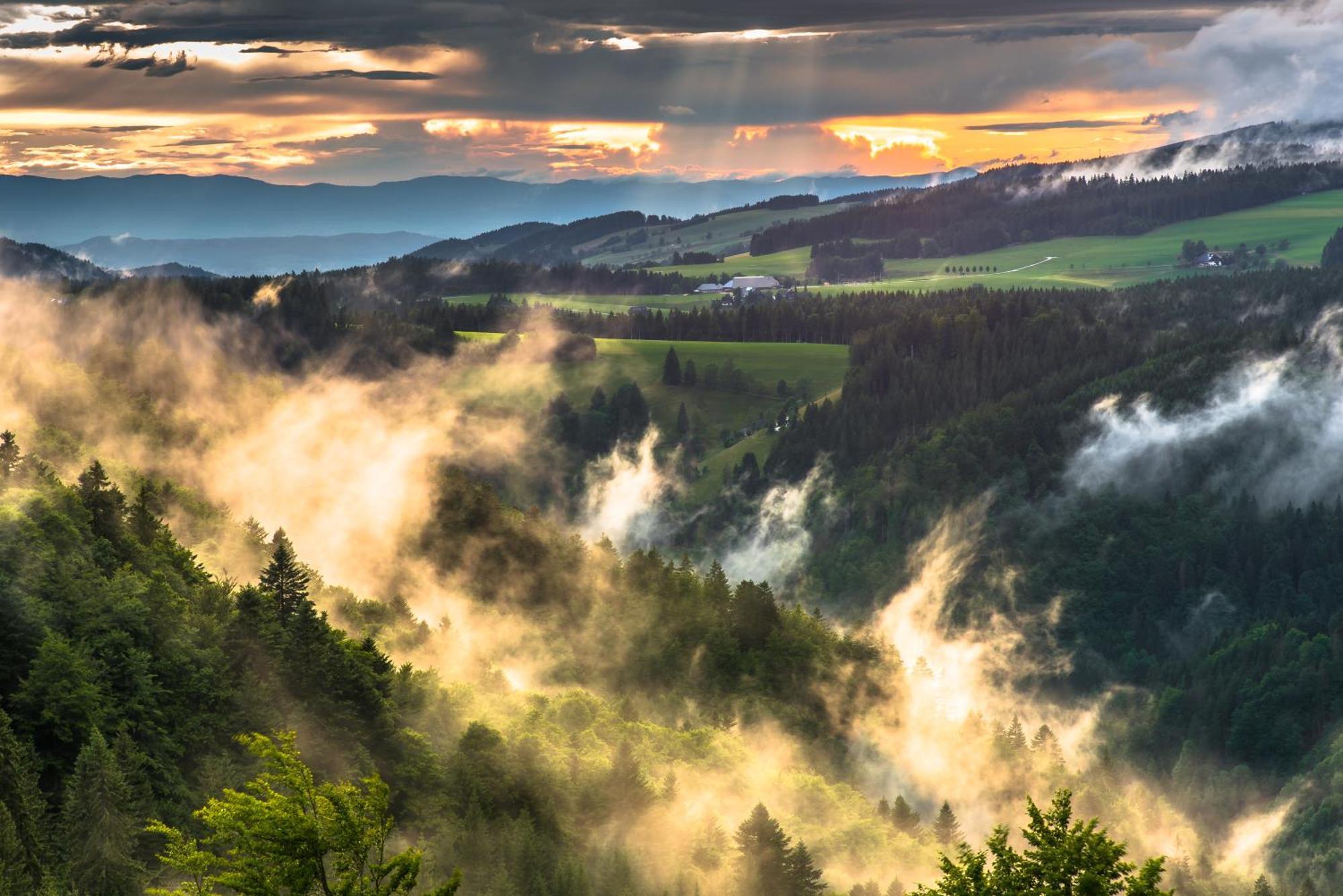 Hoehengasthaus Kolmenhof An Der Donauquelle Affittacamere
