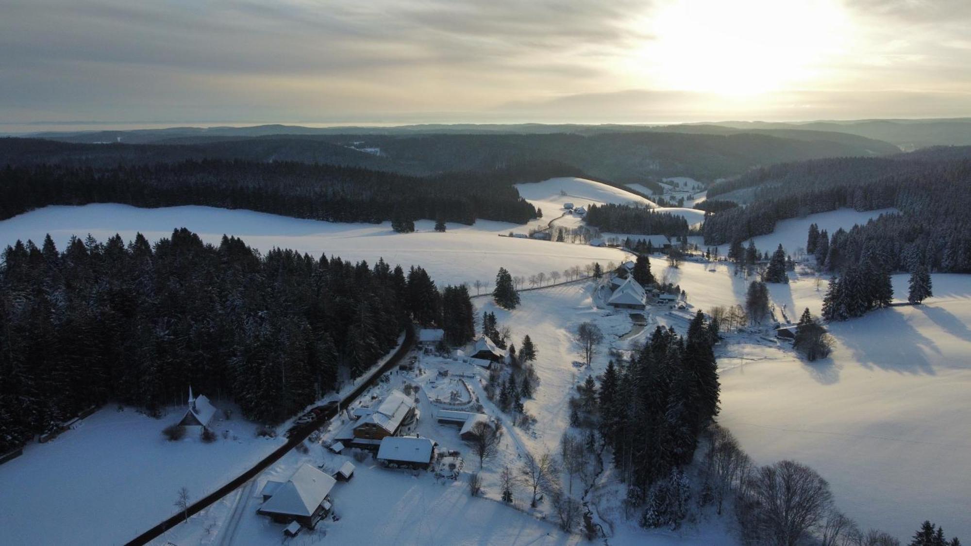 Hoehengasthaus Kolmenhof An Der Donauquelle Affittacamere Furtwangen