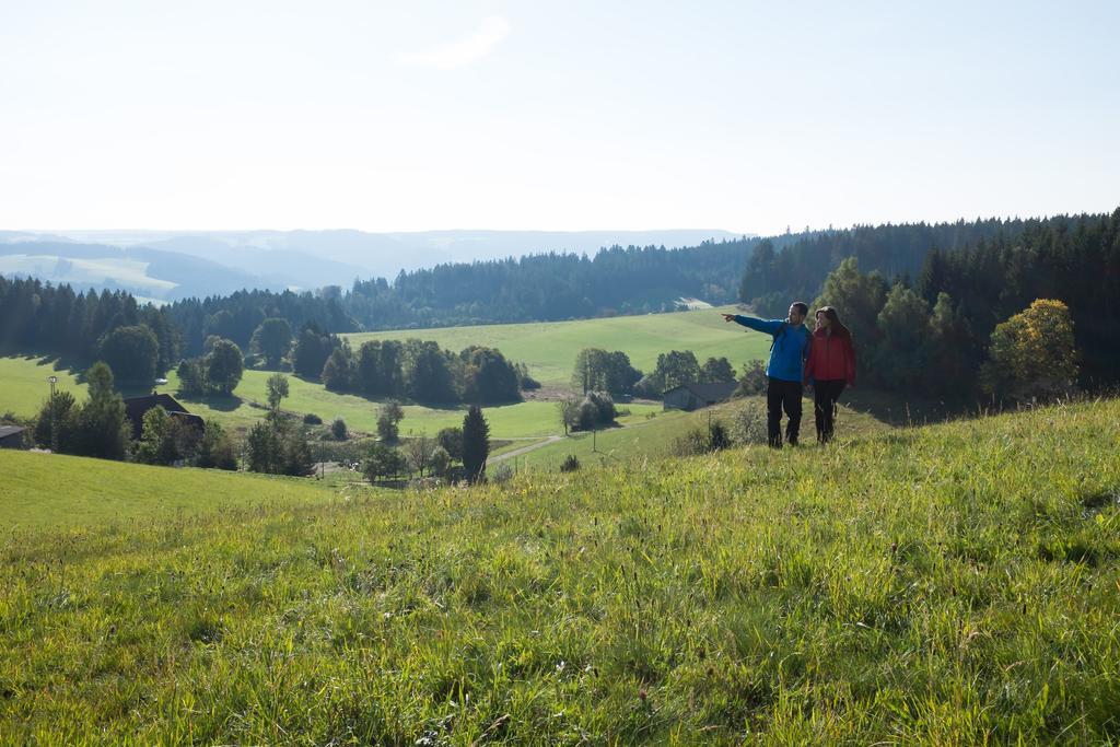 Hoehengasthaus Kolmenhof An Der Donauquelle Affittacamere Furtwangen