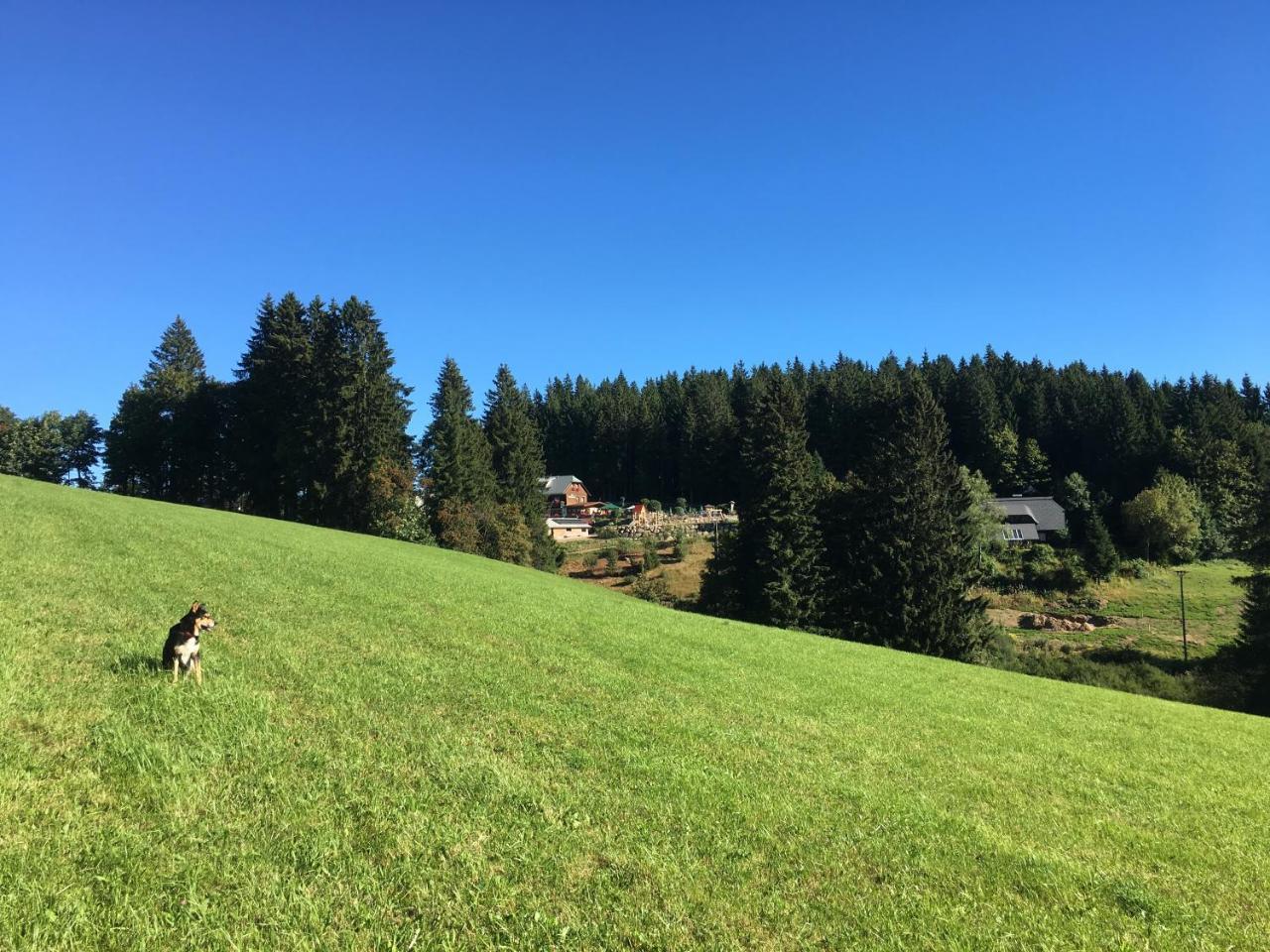 Hoehengasthaus Kolmenhof An Der Donauquelle